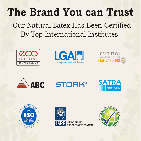 certification-dreamzee